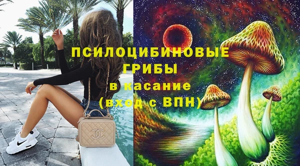 бошки Абаза