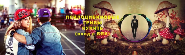 бошки Абаза